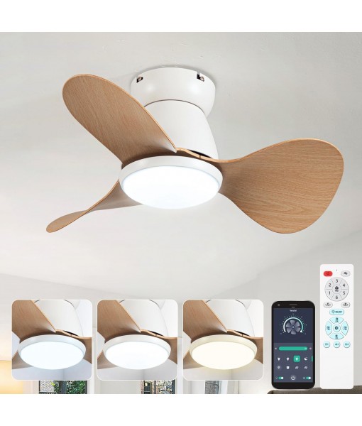 Small Ceiling Fan Lamp Silent DC Ceiling Fan
