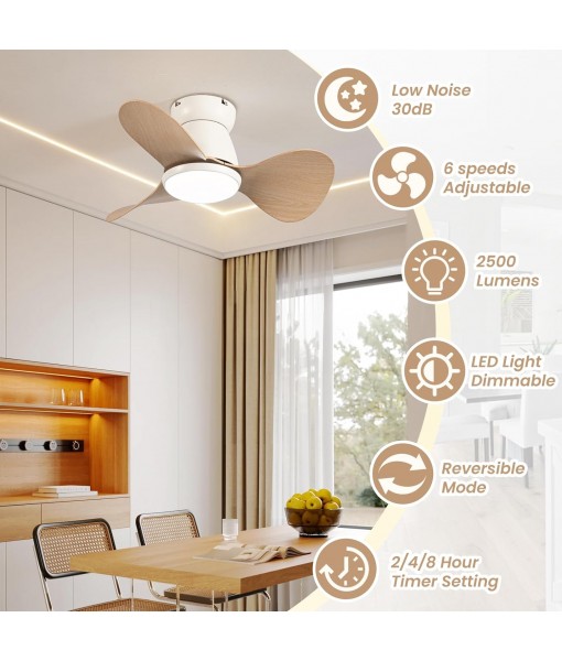 Small Ceiling Fan Lamp Silent DC Ceiling Fan