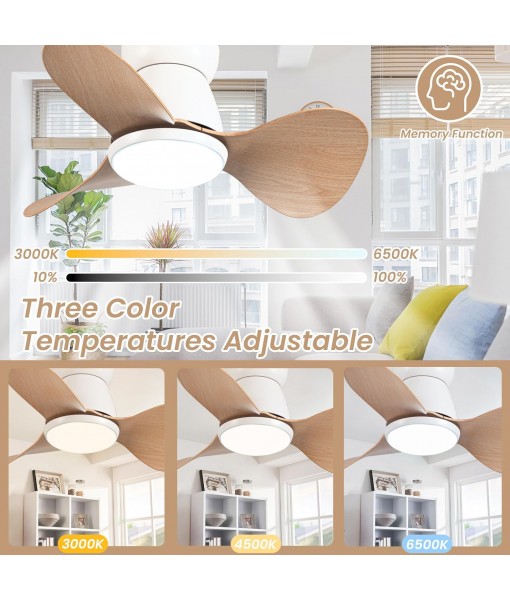 Small Ceiling Fan Lamp Silent DC Ceiling Fan