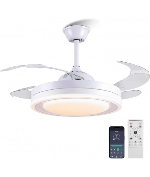 108cm Ceiling Fan with Light and Remote Control, Ceiling Fan with Blades
