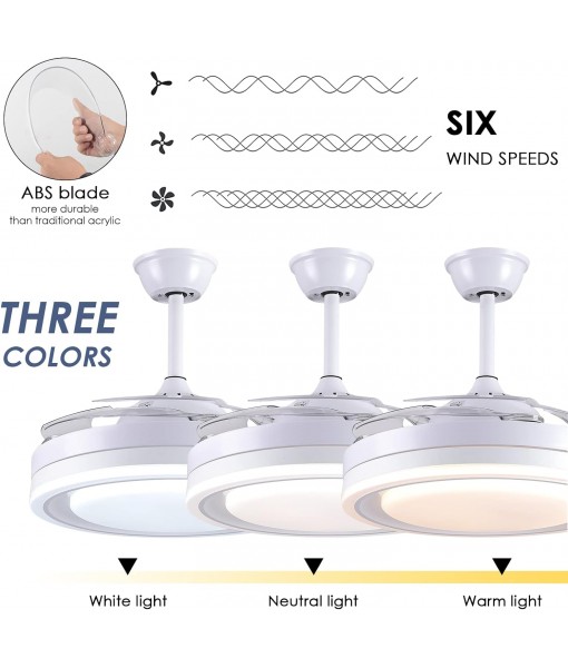 108cm Ceiling Fan with Light and Remote Control, Ceiling Fan with Blades