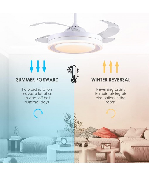 108cm Ceiling Fan with Light and Remote Control, Ceiling Fan with Blades