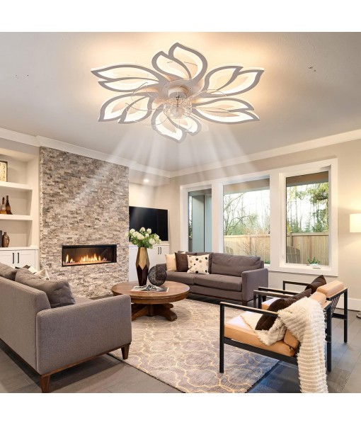 Ceiling fan with dimmable LED light Modern ceiling lamp