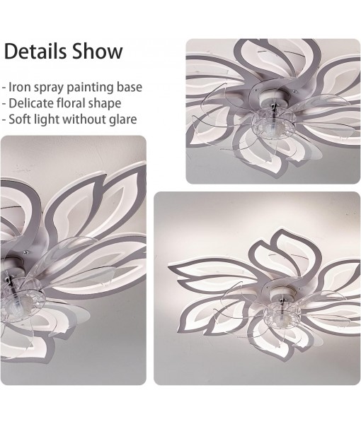 Ceiling fan with dimmable LED light Modern ceiling lamp