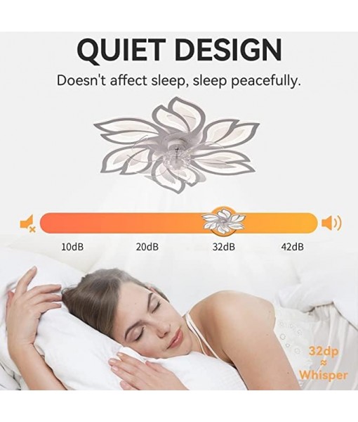 Ceiling fan with dimmable LED light Modern ceiling lamp