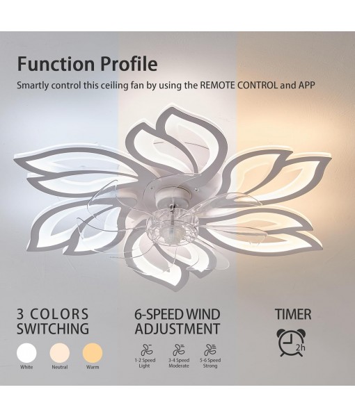 Ceiling fan with dimmable LED light Modern ceiling lamp