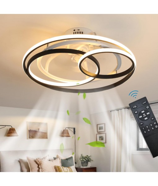 Modern Creative Ceiling Fan with Lighting and Remote Control