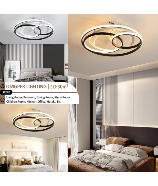 Modern Creative Ceiling Fan with Lighting and Remote Control