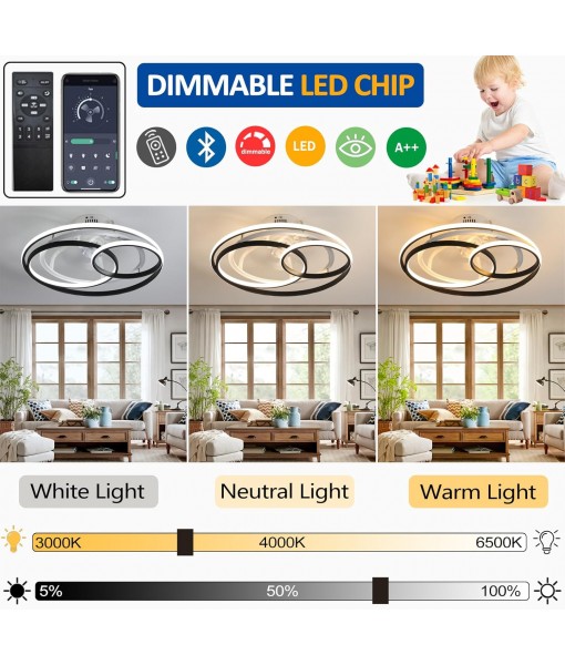 Modern Creative Ceiling Fan with Lighting and Remote Control