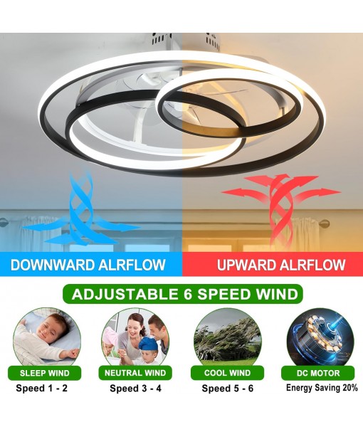 Modern Creative Ceiling Fan with Lighting and Remote Control