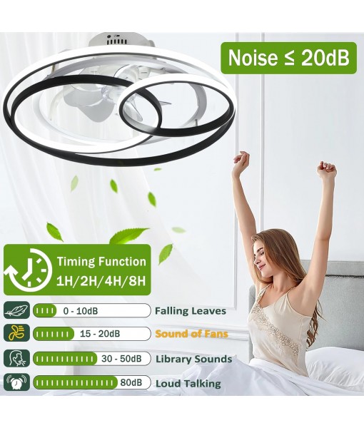 Modern Creative Ceiling Fan with Lighting and Remote Control