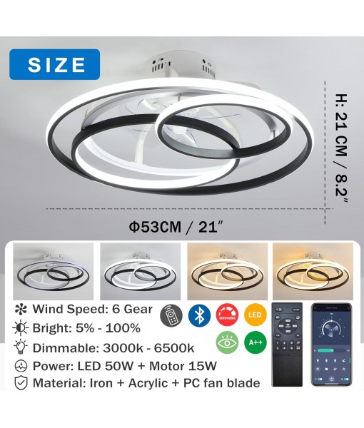 Modern Creative Ceiling Fan with Lighting and Remote Control