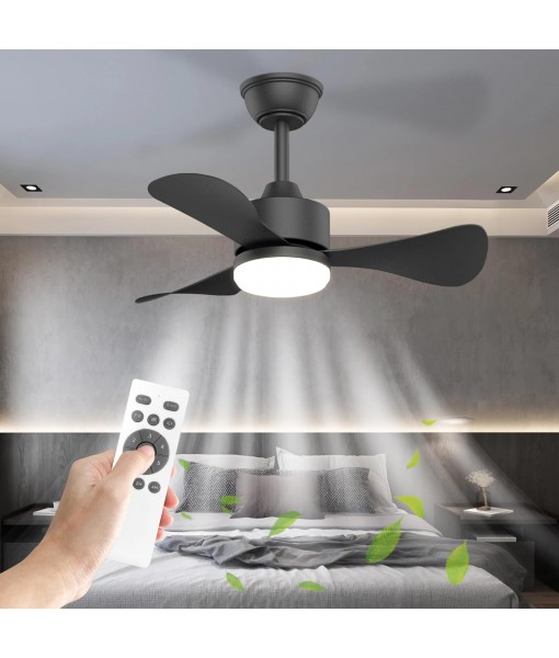 71cm Silent Ceiling Fan with Light, Small Fan Lamp