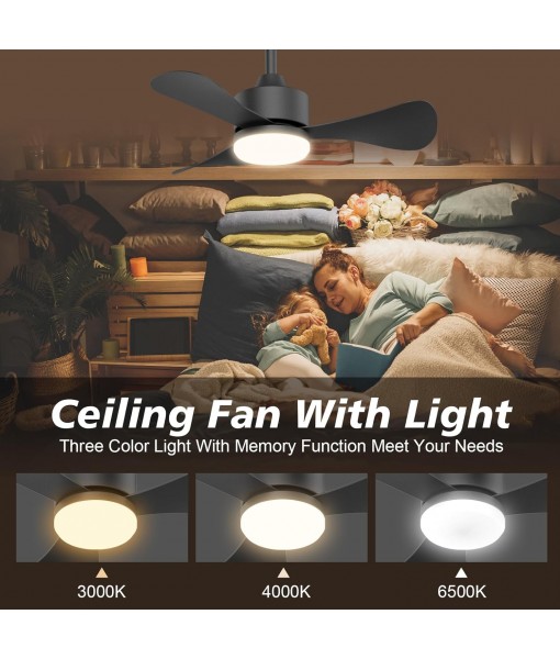 71cm Silent Ceiling Fan with Light, Small Fan Lamp