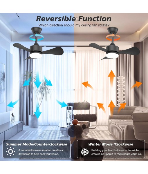 71cm Silent Ceiling Fan with Light, Small Fan Lamp