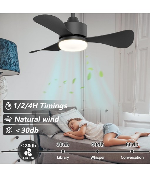 71cm Silent Ceiling Fan with Light, Small Fan Lamp