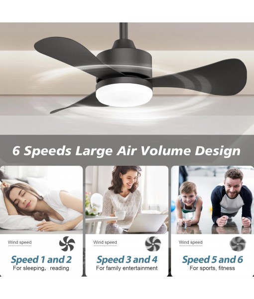 71cm Silent Ceiling Fan with Light, Small Fan Lamp