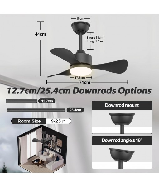 71cm Silent Ceiling Fan with Light, Small Fan Lamp