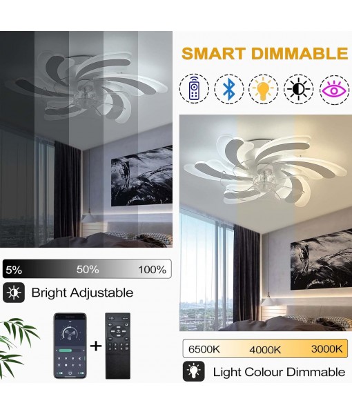 LED 50W Ceiling Fan with Lighting, 6 Speeds, White 65CM