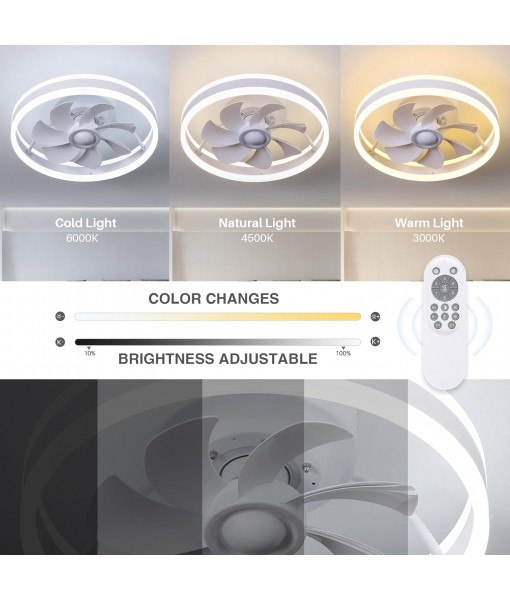 Low Profile Ceiling Fan with Light and Ceiling Fan with