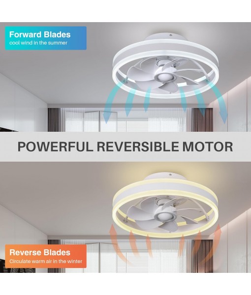 Low Profile Ceiling Fan with Light and Ceiling Fan with