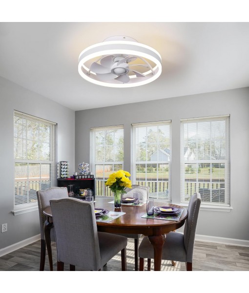 Low Profile Ceiling Fan with Light and Ceiling Fan with