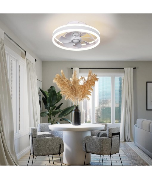 Low Profile Ceiling Fan with Light and Ceiling Fan with