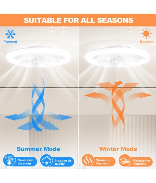 Ceiling Fan with Light, 88W LED Silent Ceiling Fan
