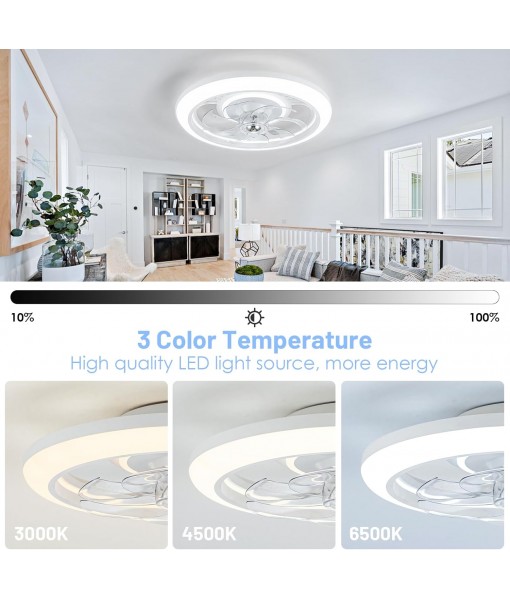 LED Ceiling Fan 48CM Modern Smart Ceiling Fan Light