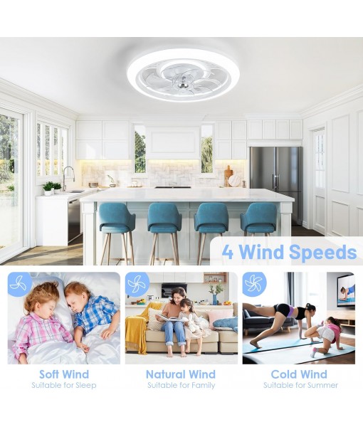 LED Ceiling Fan 48CM Modern Smart Ceiling Fan Light