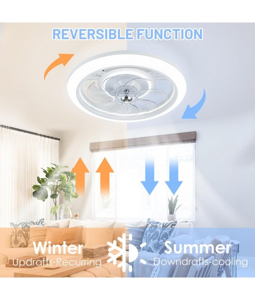 LED Ceiling Fan 48CM Modern Smart Ceiling Fan Light