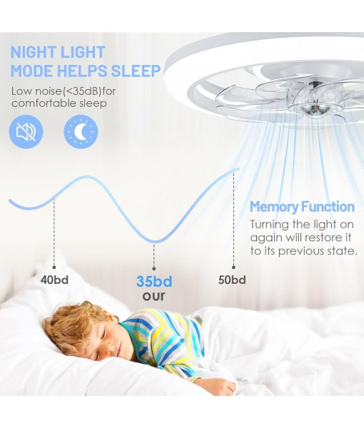 LED Ceiling Fan 48CM Modern Smart Ceiling Fan Light