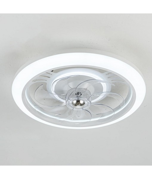 LED Ceiling Fan 48CM Modern Smart Ceiling Fan Light