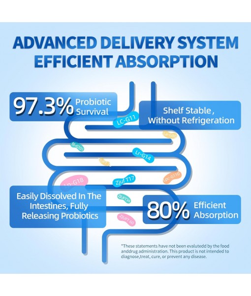 10 Billion Probiotics CFU for Women and Men, 10 Strains Probiotic Supplement with Prebiotic, Vitamin B, Vegetables, Digestive Enzymes, Supports Digestive, Bloating, Vaginal, Immune Health, 60 Capsules