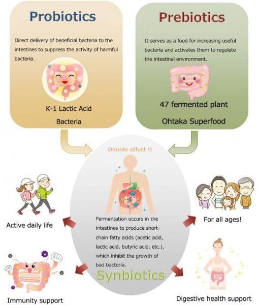 100Billion cfu Probiotic and 47 Fermented Plants Japanese Prebiotic in one. Digestive Health-Immune Support.