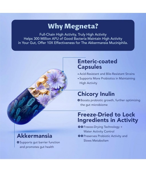 Akkermansia Probiotic Capsules, Increases GLP-1 Production, 300M AFU for Gut Health- Vegan, 60 Capsules