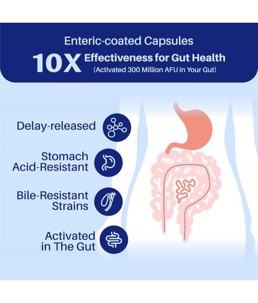 Akkermansia Probiotic Capsules, Increases GLP-1 Production, 300M AFU for Gut Health- Vegan, 60 Capsules