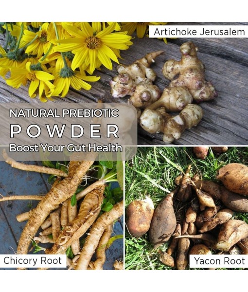 AKI Plant-Based Prebiotic Blend (6 oz / 170 g) Ideal Source of FOS & INULIN | Nourish Intestinal flora & Immunity | Ideal for Protein Shakes, Juice, Smoothies | Keto Friendly, Vegan, Gluten & GMO Free