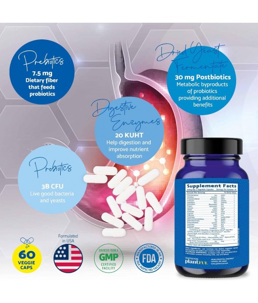4-in-1 Pre Post Probiotics & Digestive Enzymes - Complete Gut Health & Digestive Support for Women & Men - Prebiotic Probiotic & Postbiotic Gas & Bloating Relief – 60 Non GMO Capsules