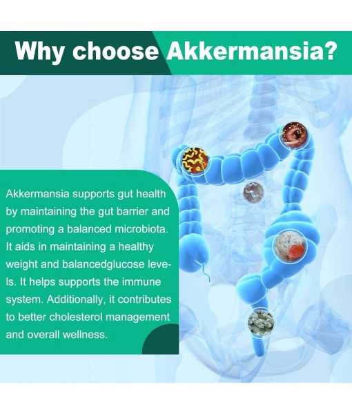 Akkermansia Muciniphila Probiotic for Gut Management - GLP-1 Boosting Supplement with Chicory Inulin, Turmeric, Resistant Starch, Vegan & Gluten Free - 30 Day Supply